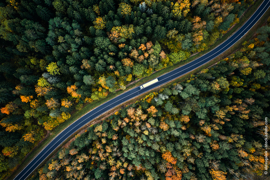 Biele nákladné auto ide po ceste medzi lesmi